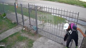 Entró a robar una casa y se encontró con un feroz perro: mirá la cobarde reacción del ladrón