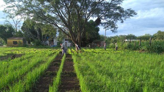 ¿Se viene la otra Mesa de Enlace?