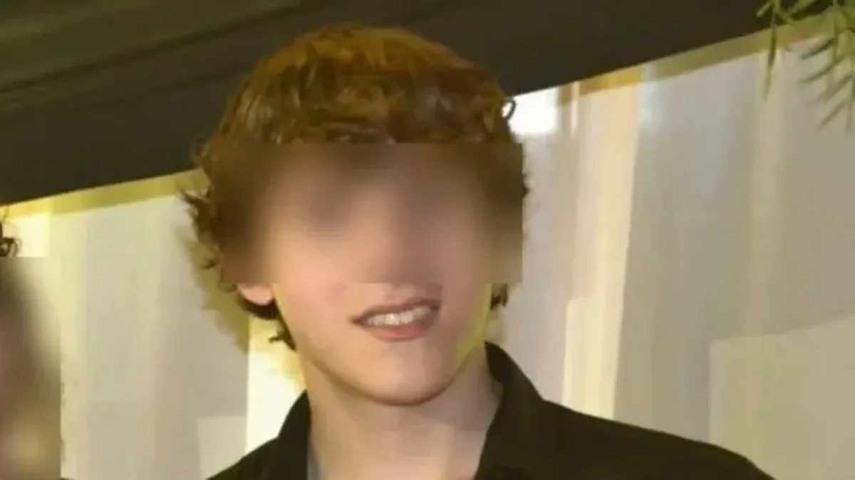 El Gobierno aclar&oacute; que en la Argentina ya hab&iacute;a indicios de la presencia de este tipo de organizaciones en menores.&nbsp;