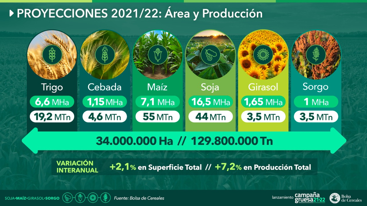 La producci&oacute;n agr&iacute;cola de la campa&ntilde;a 2021/22. Fuente: Bolsa de Cereales de Buenos Aires.