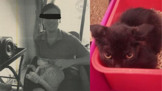 El estremecedor caso del hombre que adoptaba gatos y realizaba con ellos algo monstruoso