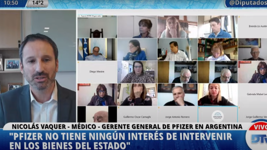 Pfizer en el Congreso: No tenemos ningun interés en intervenir en los bienes del Estado, ni hubo pedidos de pagos indebidos
