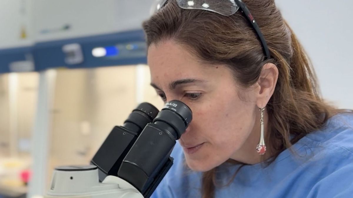 Según datos difundidos por el equipo científico, la incidencia de la tuberculosis aumentó un 80% en los últimos cinco años. (Foto: Prensa UBA)