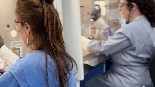 La UBA desarrolla una terapia para acortar el tratamiento contra la tuberculosis