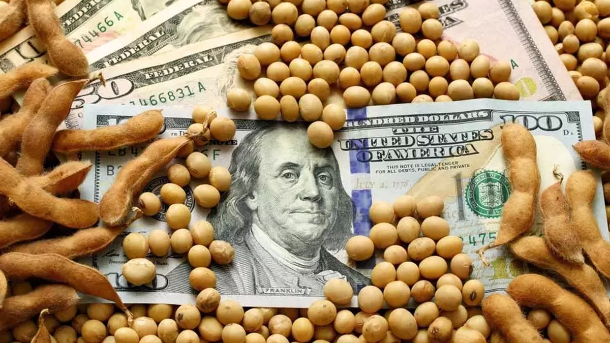 FMI y dólar agro: ¿el Gobierno anunciará nuevas medidas? (Foto: archivo)