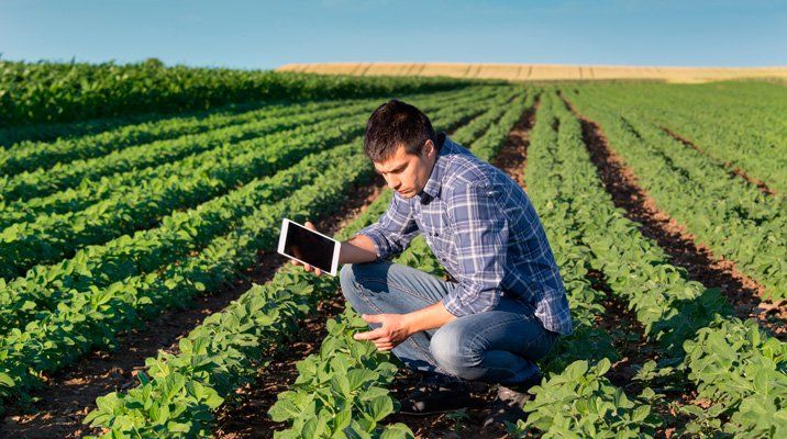 Claves para la inserción laboral de los jóvenes en el agro