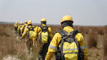 País en llamas: un informe alarmante confirma cuántas hectáreas se prendieron fuego en las últimas semanas