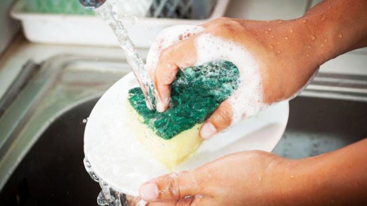 Las esponjas deben ser usadas