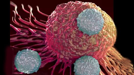 Gran avance contra el cáncer: cómo funciona la bacteria come tumores que diseñó la ciencia