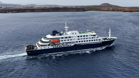 Brote de hantavirus en un crucero: el pasajero argentino será evacuado a Países Bajos