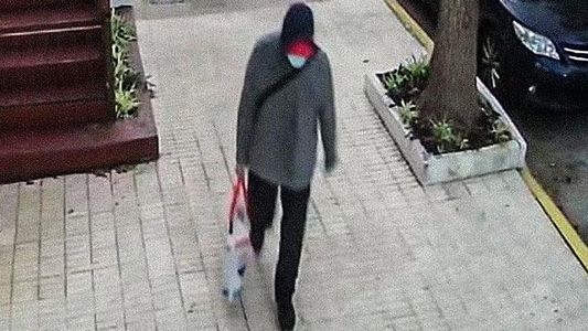 Doble crimen en Vicente López: otro hijo de las víctimas reconoció a su hermano en los videos