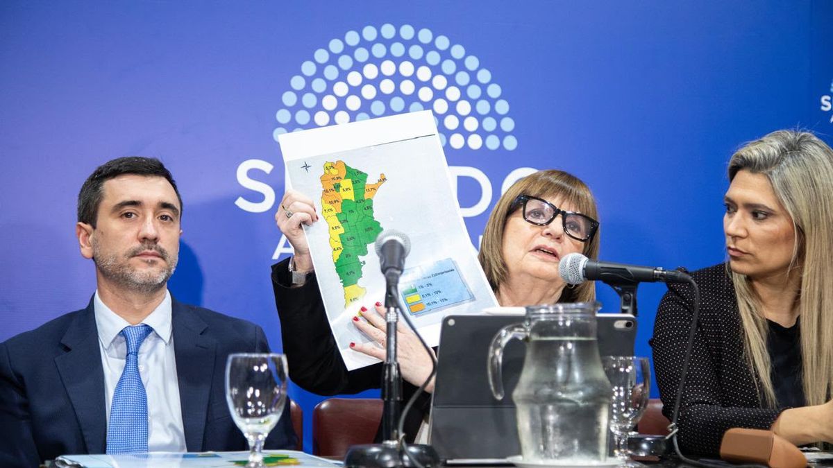 La presidenta del bloque de LLA en el Senado explicó los cambios al régimen de adquisición de tierras rurales y remarcó que los Estados extranjeros no podrán comprar tierras en Argentina. (Foto: prensa)