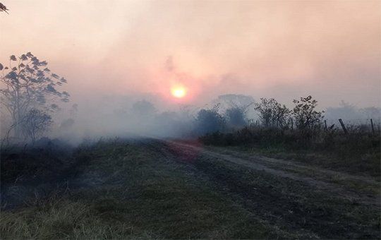 Provincias bajo fuego: preocupación por diferentes focos de incendio en La Pampa, Entre Ríos, Neuquén y Mendoza