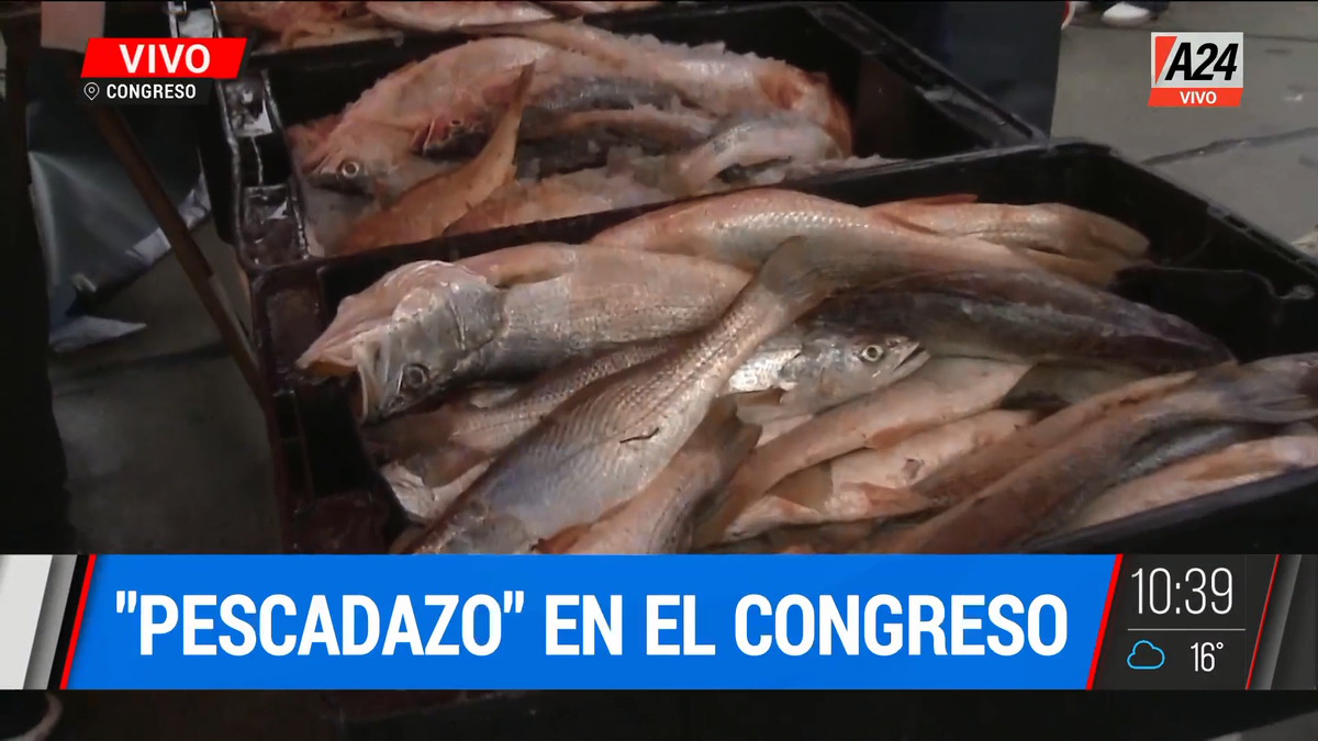 Esta es la oferta del primer Pescadazo frente al Congreso. (Captura de Tv)
