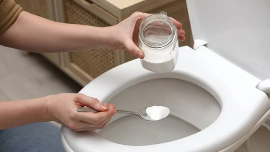 Por qué hay que tirar sal en el inodoro y cada cuánto hacerlo