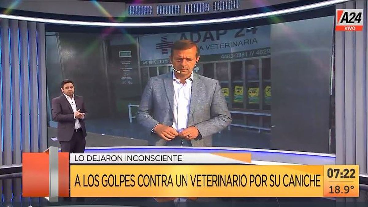 Morón: insólita pelea en una veterinaria por un caniche. (Captura de Tv)