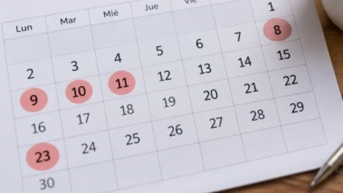 El 11 de noviembre en todo el país: según el calendario oficial es feriado