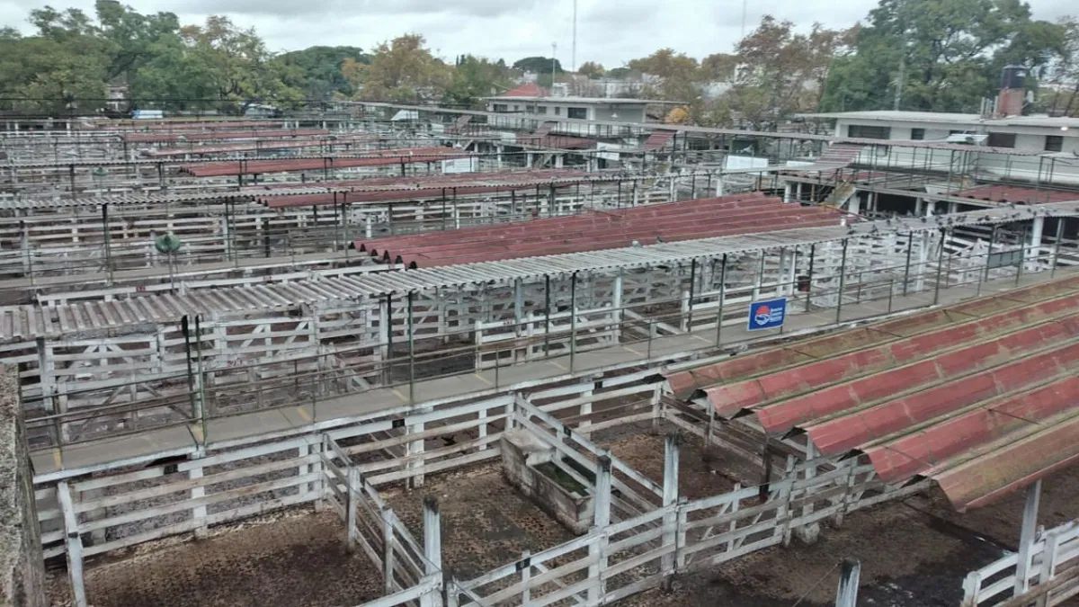 El mercado de Liniers seguirá sin animales hasta el miércoles 2 de junio.