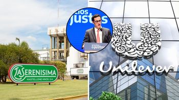 El Gobierno multó a Unilever y Mastellone por comercializar productos mellizos a diferentes precios