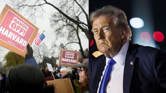 ¡Es lo que se merecen!: la drástica medida que planea lanzar Donald Trump contra Harvard
