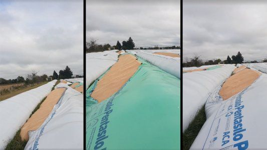 Vandalismo y robo: rompieron un silobolsa y se llevaron 50 toneladas de soja