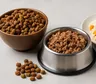 Guía práctica para alimentar mejor a perros y gatos sin descuidar su salud