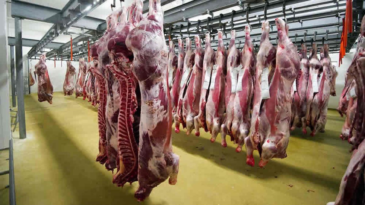 Las exportaciones de carne con destino a China