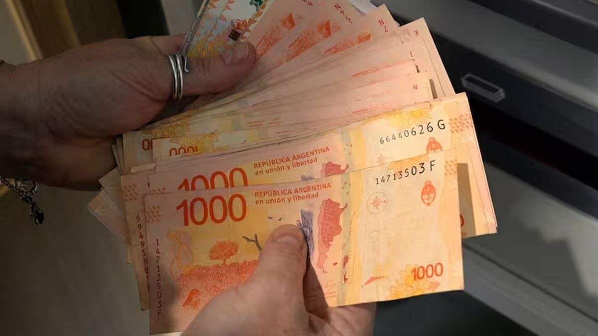 Nueva tasa de interés para el PLAZO FIJO: cuánto gano si deposito $90 MIL al mes (Foto: archivo)