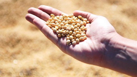 Estados Unidos se quedó sin soja ¿Y ahora?