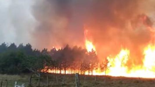 Se extienden los incendios en Corrientes y cuatro bomberos debieron ser hospitalizados