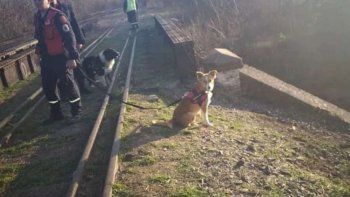 Impactante búsqueda del bebé fantasma en Luján