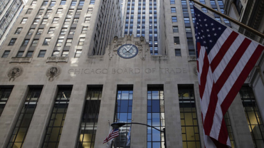 La soja volvió a caer en Chicago y se ubicó por debajo de los USD 500 la tonelada