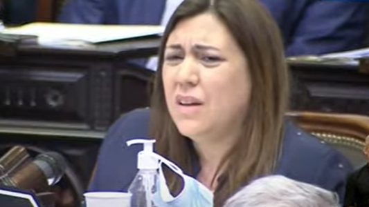 ¡¿Qué te pasa, enfermo?!: la reacción de una diputada de Juntos por el Cambio ante la interrupción de Rodolfo Tailhade