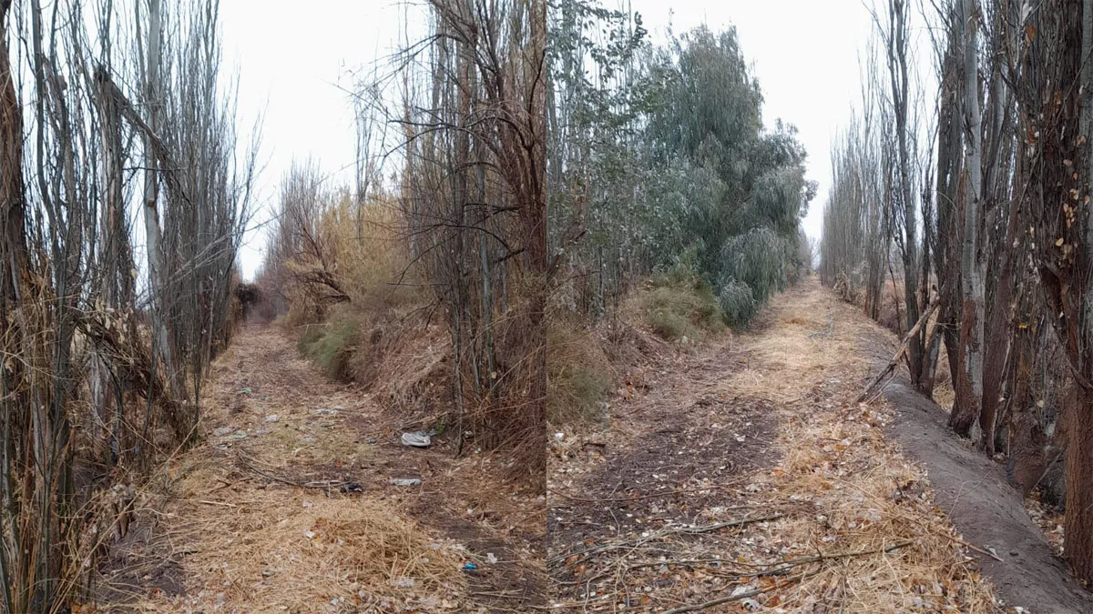 La zona de la búsqueda. Foto: Diario Uno. 