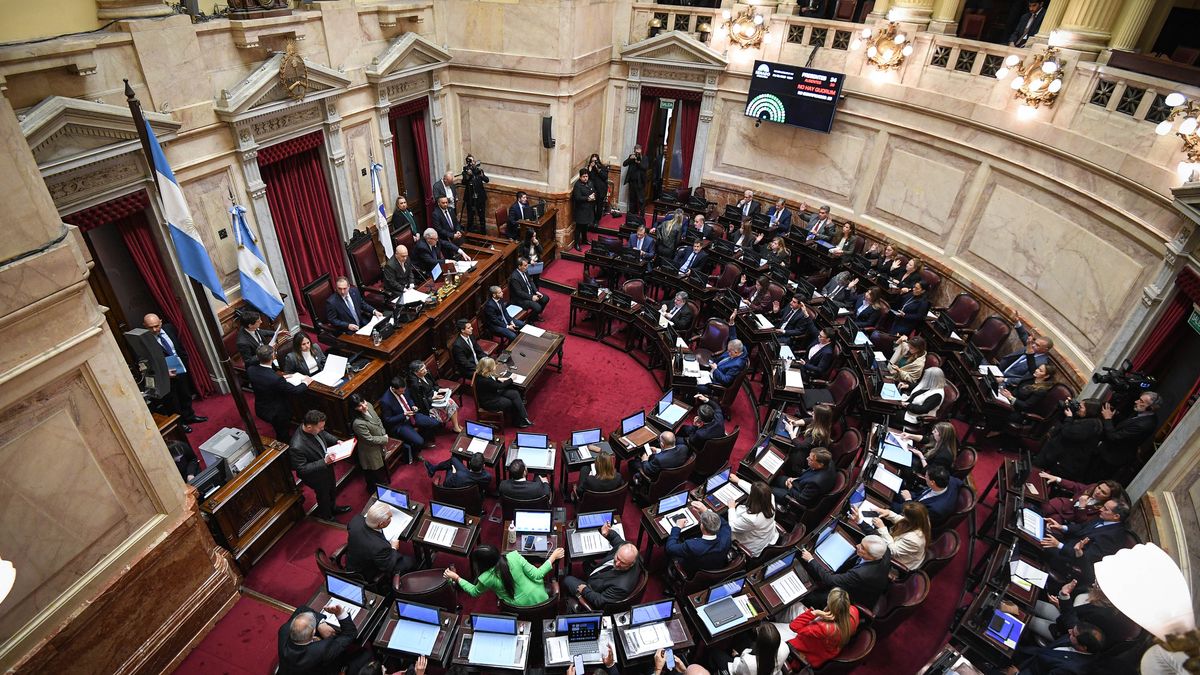 La iniciativa obtuvo 38 votos a favor y 8 en contra en un recinto casi vacío. (Foto: @SenadoArgentina)