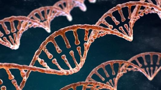 Día Mundial del ADN: por qué se celebra el 25 de abril y cuál es su importancia