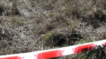 Aún se desconce la identidad del niño que apareció muerto en una zona rural de Rosario Aún se desconce la identidad del niño que apareció muerto en una zona rural de Rosario