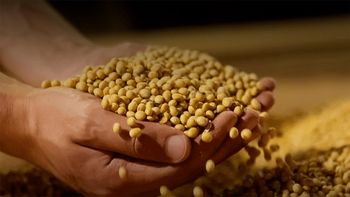 Un dirigente de la agroindustria fue reelecto y criticó al Gobierno: sáquennos el freno de mano