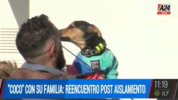 El emocionante reencuentro de Coco y su dueño: el perro que llegó de Hungría con una vacuna vencida y fue aislado en Ezeiza