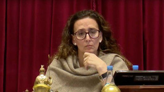 Michetti reconoció que fueron demasiado entusiastas y enfatizó: Es un momento más difícil del que esperábamos