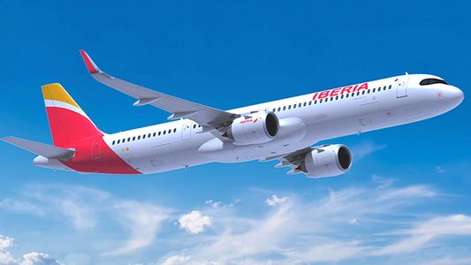 Choque y angustia: así quedó un avión luego de sufrir el grave impacto de un pájaro en pleno despegue