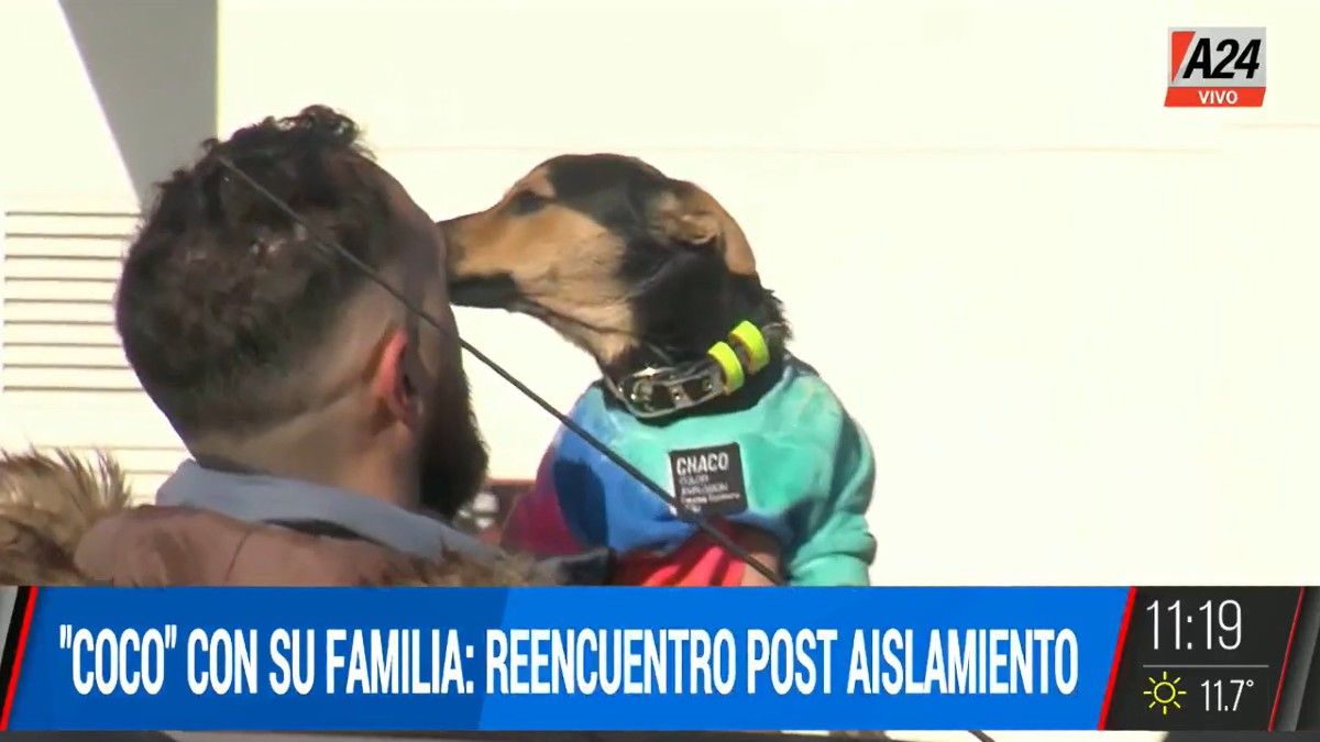 El emotivo encuentro de Coco con su dueño en Ezeiza.&nbsp;