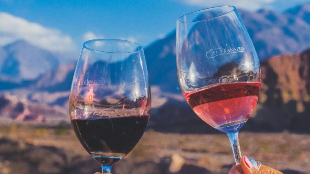 Los rindes de la bodega El Tránsito son bajos