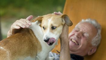 Por qué convivir con perros y gatos mejora tu salud, según la ciencia