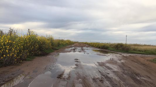 Pavimentación de la Ruta del cereal: por qué es una obra clave para el agro