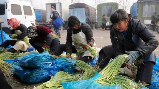Alerta máxima en China: por un brote de coronavirus cierran el mercado más grande de Beijing