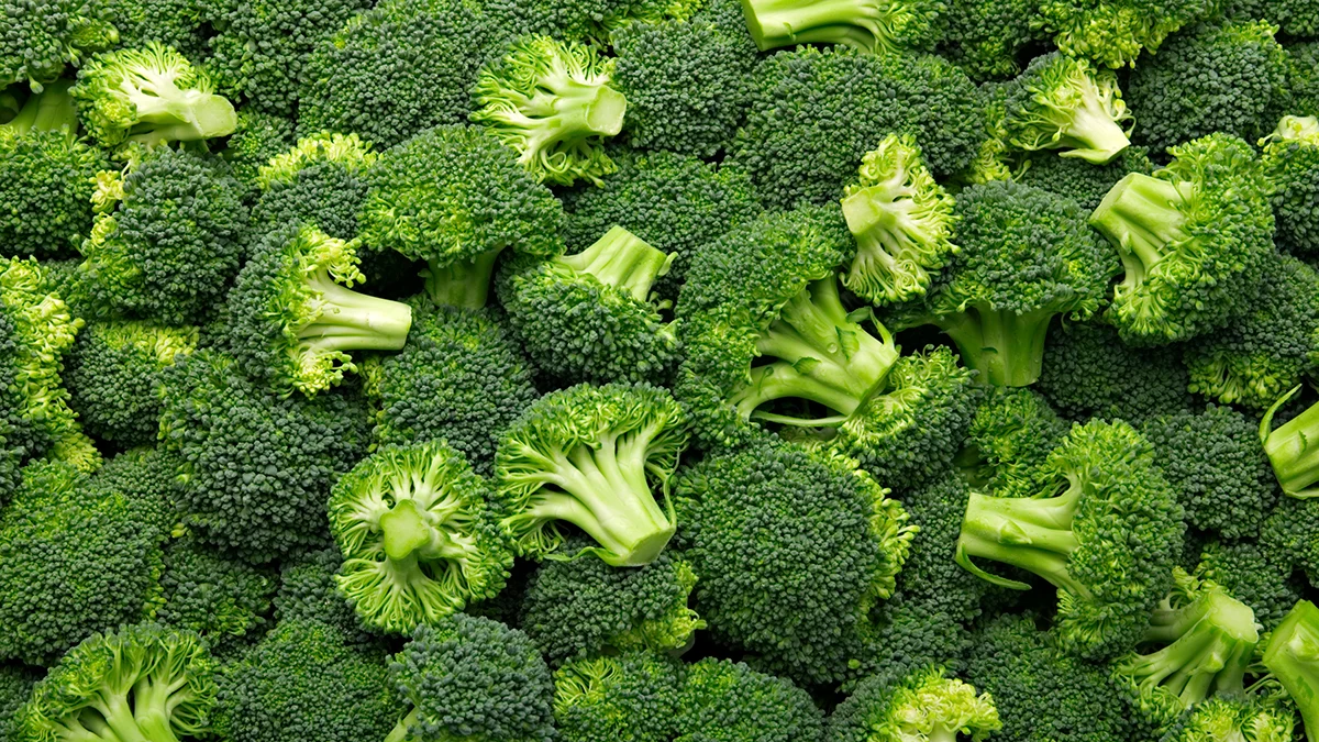 El brócoli concentra una alta densidad de nutrientes y compuestos bioactivos que lo ubican entre los vegetales más estudiados en el campo de la alimentación saludable.