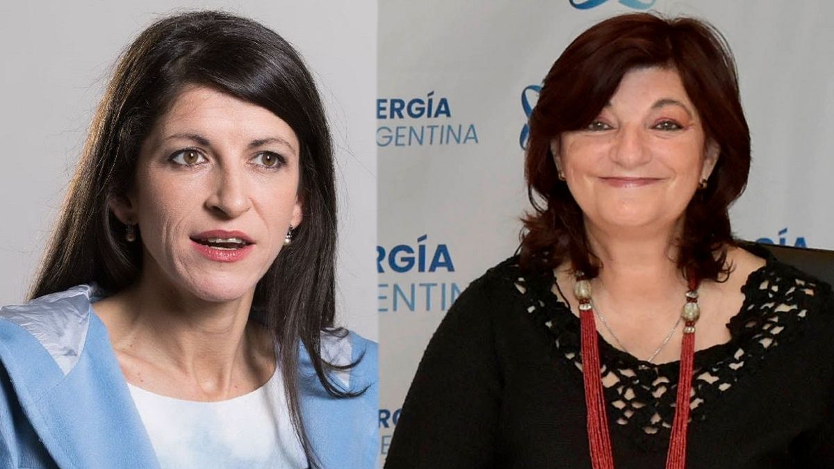 La economista Fernanda Vallejos apuntó contra la ministra de Trabajo (Foto: Télam).