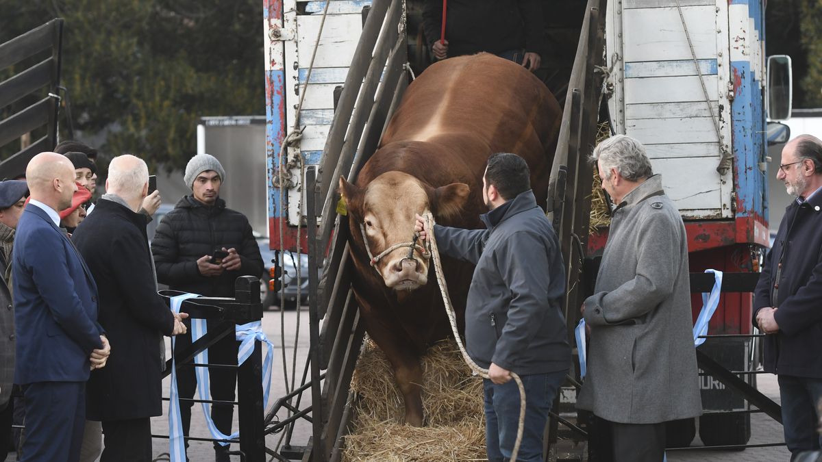 El jefe de gobierno porteño Horacio Rodríguez Larreta advirtió que la actividad del sector está trabada por impuestos y la burocracia (Foto: Télam)