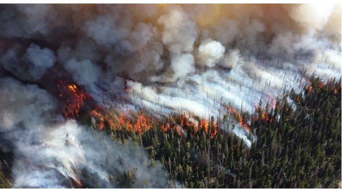 Los grandes incendios de África no se comparan con el Amazonia